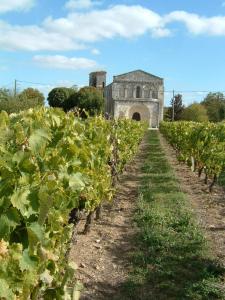 ein altes Gebäude inmitten eines Weinfeldes in der Unterkunft Superbe Loft, dégustations vignoble familial in Villars-en-Pons