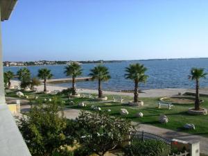 vista su un parco con palme e acqua di Apartment Deborah a Vir (Puntadura)