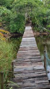 uma ponte de madeira sobre uma massa de água em Nova Gaia Algodões em Maraú
