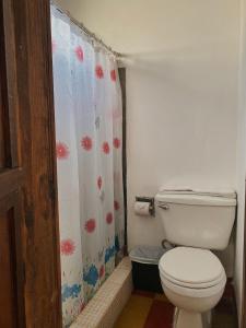 a bathroom with a toilet and a shower curtain at Anexo By Hotel Maya Ik' in Antigua Guatemala