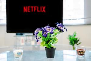 a vase with purple flowers in front of a tv at Quirky Townhouse Near City - Beach Free Parking in Wallasey