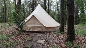 a tent sitting in the middle of a forest at Eco-Hostel Quinta das Relvas in Branca