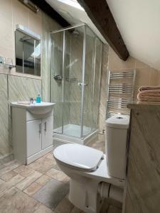 a bathroom with a toilet and a shower and a sink at Rosegarth Guest House in Ravenglass