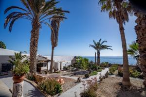 uma vista para um resort com palmeiras e o oceano em Little Paradise in El Médano em Granadilla de Abona