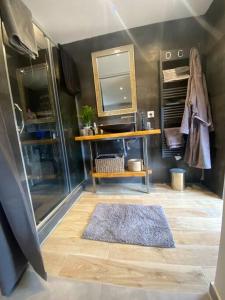 bagno con doccia, specchio e tappeto di Maison de caractère, Zilia, au pied du Montegrossu a Zilia