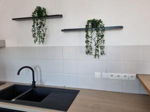 une cuisine avec un évier et 2 plantes sur le mur dans l'établissement Appart'hotel SOLESMES, à Solesmes