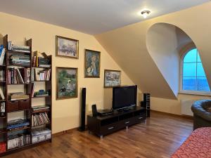 een woonkamer met een tv en een boekenplank bij Rezydencja Pod Platanem 