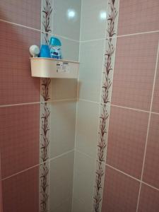 A bathroom at Nur home1