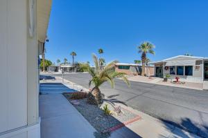 a palm tree on the side of a street at Yuma Vacation Rental with Resort Pool and Hot Tub! in Yuma