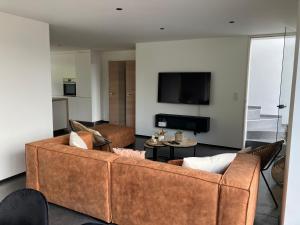 sala de estar con sofá marrón y TV en Le beau petit bosquet en Hotton
