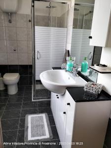 uma casa de banho com um lavatório, um chuveiro e um WC. em Casa relax em San Donato Val di Comino