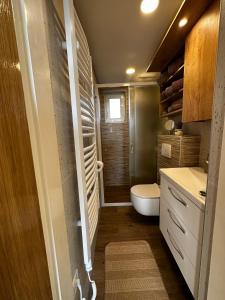 a small bathroom with a toilet and a sink at Apartman Veronika in Vrsi +33 photos