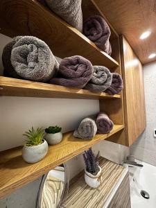 a wooden shelf with towels and plants in a bathroom at Apartman Veronika in Vrsi