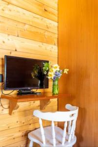 A television and/or entertainment centre at B&B Chalet Il Picchio