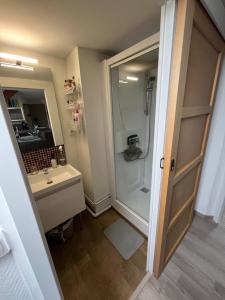 Kúpeľňa v ubytovaní Appartement agréable à Malo proche de la plage