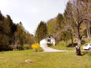 Příroda nedaleko apartmánu