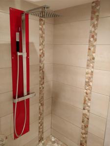 a shower with a red hose in a bathroom at Gîte des Pringets in Tresserves