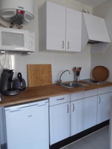 A kitchen or kitchenette at Appartement lumineux sur les canaux