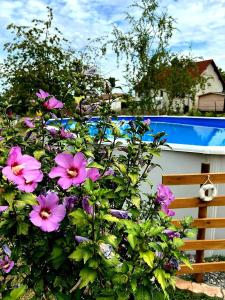 um arbusto de flores roxas ao lado de um banco de madeira em Le Heron Pourpre B&B gastronomique em Cronat