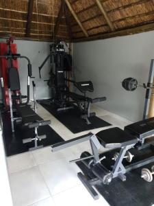 a gym with several tread machines in a room at Haleys Guest House in Benoni