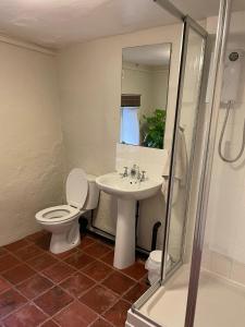 a bathroom with a toilet and a sink and a shower at Elbury Lodge in Exeter