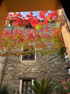 Kép Borgata Cantone Country House B&B szállásáról Garlendában a galériában