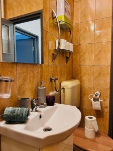 uma casa de banho com um lavatório, um espelho e um WC. em Zizi's House Gării 2 em Brasov