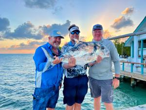 three men holding a large fish on a dock at Blue Reef Island in Dangriga