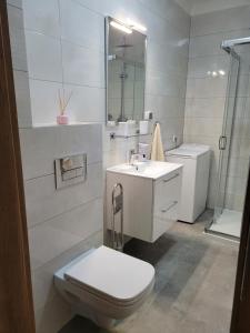 uma casa de banho branca com um WC e um lavatório em Apartament Elżbieta em Busko-Zdrój