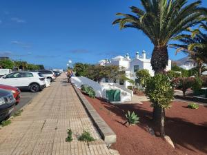 chodnik z palmą obok parkingu w obiekcie Casa Desde Casa w mieście Playa Blanca