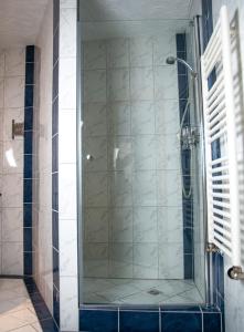 a shower with a glass door in a bathroom at Terrassenhotel Seepromenade in Edersee