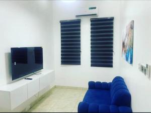 TV a/nebo společenská místnost v ubytování Jilles apartments -4bedroomduplex24hrlight&security