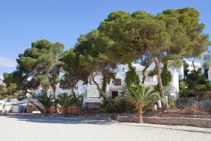 a large tree in front of a white building at Bungalow Playa dOr 4 in Cala d´Or