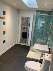 a bathroom with a toilet and a shower and a sink at 9 Chudleigh Close in Bedford