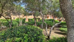 a garden with trees and bushes in front of a building at Appartamento- La Casa del Mirto- Porto Rotondo in Porto Rotondo