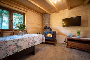 a room with a woodburning stove in a log cabin at Domek Nad Stawem II in Limanowa