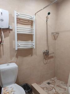 a bathroom with a white toilet and a shower at Hotel Talin in Talin