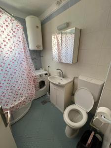 a small bathroom with a toilet and a sink at Viktorija's Apartment in Gevgelija