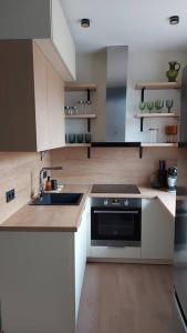 uma cozinha com um lavatório e um fogão em Luxury Stable 1 em Rezekne