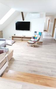 TV a/nebo společenská místnost v ubytování Apartmán UšeBu