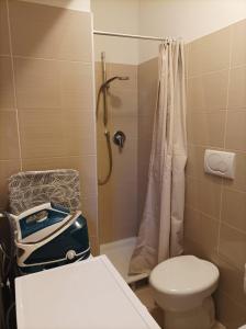a bathroom with a toilet and a shower at glamhouse in Nizza Monferrato