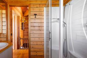 A bathroom at B&B Chalet Il Picchio