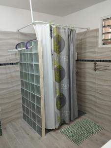 e bagno con doccia e tenda. di Charmant logement situé à la campagne avec Spa a Le Robert
