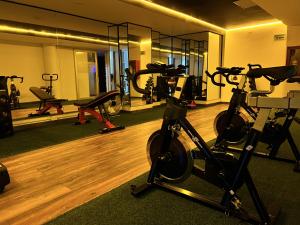 Fitness centrum a/nebo fitness zařízení v ubytování Trugo Luxury Rooms