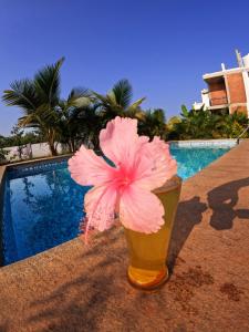 a pink flower in a vase next to a pool at Wow Farm House & Resort near Pondicherry in Auroville