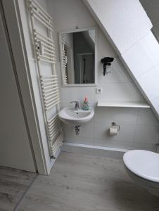 La salle de bains est pourvue d'un lavabo et d'un miroir. dans l'établissement Flensburg Zentrum 10 VH DGL, à Flensbourg