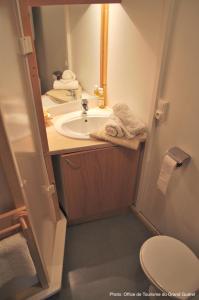 a small bathroom with a sink and a toilet at Camping La Chapelle 