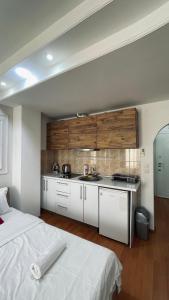 Η κουζίνα ή μικρή κουζίνα στο Exclusive Apartments with Lake view