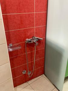 een douche in een badkamer met een rode tegelwand bij My home in Amaliás