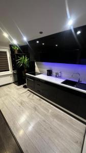 a kitchen with a sink and a counter top at Valmiera in Valmiera